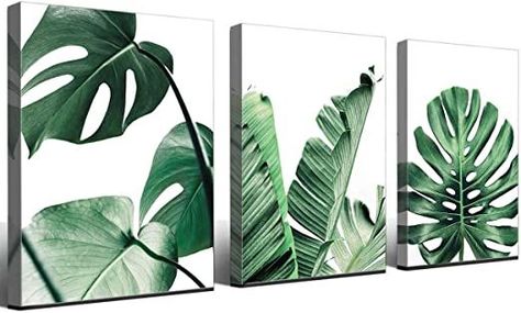 Canvas Wall Art Green Leaf Simple Life Painting Dathroom Wall Decor Monstera Plant 3 Pieces Framed Canvas Pictures Contemporary Watercolor Artwork Ready to Hang for Home Decoration Office Wall Decor Leaf Pictures, Hospital Art, 3 Aesthetic, Office Nursery, Minimalist Watercolor, Contemporary Watercolor, Green Room, Leaf Wall, Hotel Cafe