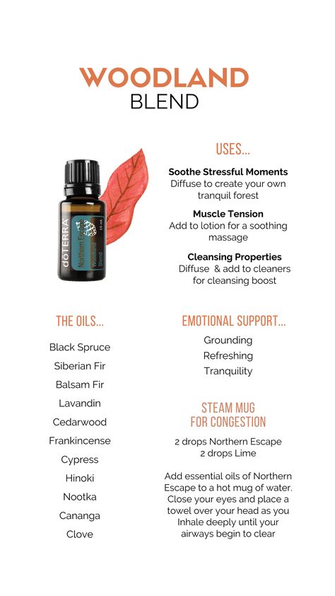 Northern Escape Doterra, Doterra Northern Escape, Doterra Douglas Fir Diffuser Blends, Adaptiv Diffuser Blend Doterra, Doterra Siberian Fir Diffuser Blends, Essential Oil Cleaning Recipes, Woodsy Essential Oil Diffuser Blends, Meditation Oil Blend, Terra Essential Oils