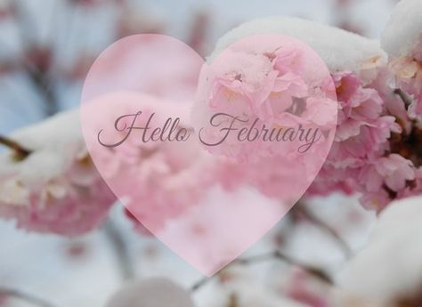 Hello February Quotes, February Images, Welcome February, February Hearts, Neuer Monat, February Quotes, February Wallpaper, February Month, Hello February