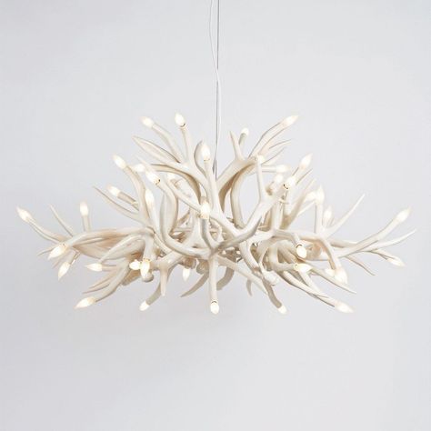 White Antler Chandelier, Antler Lights, Jason Miller, Antler Chandelier, Deer Horn, Stair Lighting, Contemporary Chandelier, Studio Lighting, Back To Nature