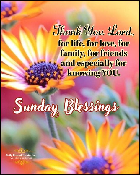 Sunday Blessings to you. Have a blessed day. 🧡💛💜💛🧡    . #RiseAndShine #GoodMorning #MorningVibes #NewDayNewOpportunities #StartYourDayRight #MorningInspiration #DailyDoseofInspiration #QuotesByCatherine #BOOMchallenge Sunday Blessings Inspiration Scriptures, Sunday Blessings Mornings, Sunday Blessings Inspiration, Sunday Morning Blessings, Good Morning Sunday Blessings, Good Morning Saturday Wishes, Blessed Sunday Quotes, Good Morning Scripture, Blessed Weekend