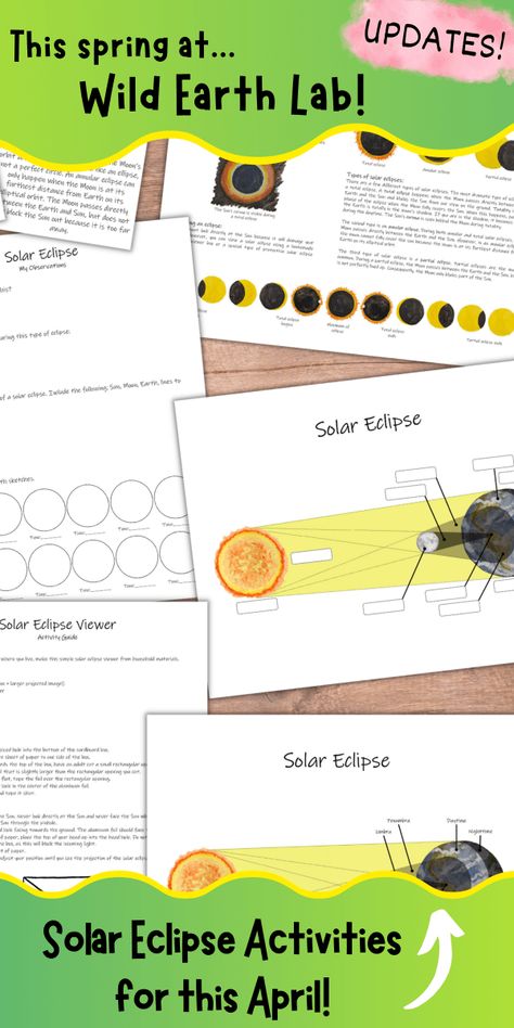 Wild Earth Lab Spring Newsletter: get ready for the April solar eclipse! Earth & space science lessons and more! Spring Newsletter, Sun Activity, Stars Classroom, Earth Space, Lab Activities, Science Learning, Earth And Space Science, Science Topics, Science Units