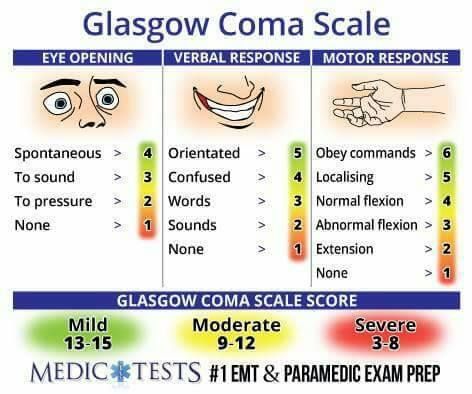 Want a better understanding of adult and pediatric GCS scoring?? Check out this article and become a pro! Glasgow Coma Scale, Emt Study, Paramedic School, Nursing School Essential, Nursing School Motivation, Nurse Study Notes, Nursing Mnemonics, Nursing Student Tips, Nursing School Survival