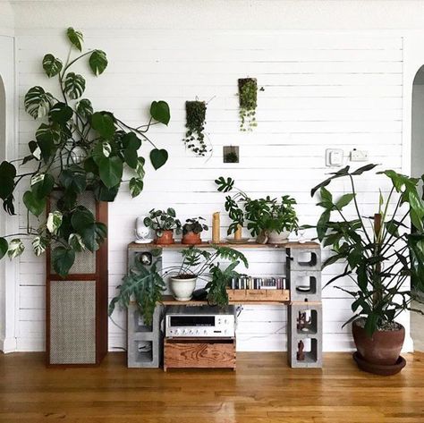 Farmhemian Decor, Plants Styling, Cinder Block Shelves, Urban Apartment, Pilea Peperomioides, Music Equipment, Interior Plants, Style Deco, Room Idea