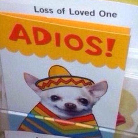 Loss of a loved one - too funny!  #sympathycard #fail #chihuahua #adios Job Memes, You Had One Job, Child Loss, One Job, Laughing So Hard, Made Me Laugh, Bones Funny, Makes Me Laugh, Funny Posts