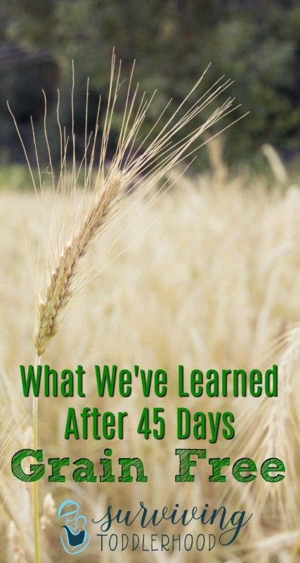 What We've Learned After 45 Days Grain Free. Thinking about trying a grain free diet? Here is how a grain free diet has affected our toddler and myself after one and a half months. #paleoish #grainfree #grainfreerecipes #gaps #glutenfree #autoimmunedisease  | Hashimotos | Candida Diet | Grain Free Diet | Grain Free Recipes | GAPS Grain Free Diet Plan, Grain Free Diet Recipes, Ms Diet, Dairy Free Soy Free, Candida Recipes, Grain Free Diet, Motherhood Encouragement, Fitness Healthy Lifestyle, Sugar Free Diet