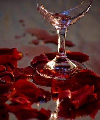 Red roses, spilled wine, broken glass. Wine Spill, Rose Wine Aesthetic, Shattered Wine Glass Aesthetic, Spilled Wine Aesthetic, Broken Glass Photography, Spilled Wine Glass Drawing, Red Wine Spilled Aesthetic, Rose Wine Glass Aesthetic, Spilled Red Wine Aesthetic