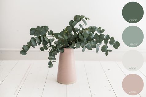 Blush Eucalyptus Color Palette Green And Blush Office, Colour Palette Eucalyptus, Hygge Colour Palette, Eucalyptus Colour Palette, Eucalyptus Green Color Palette, Eucalyptus Palette, Eucalyptus Paint Color, Color Palette Eucalyptus, Sage And Blush Bedroom