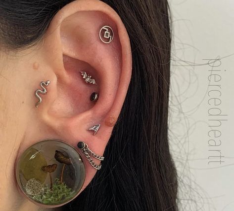 Ear Curation, Cool Ear Piercings, Pretty Ear Piercings, Cool Piercings, Dope Jewelry, Body Piercings, Stretched Ears, Ear Gauges, Funky Jewelry