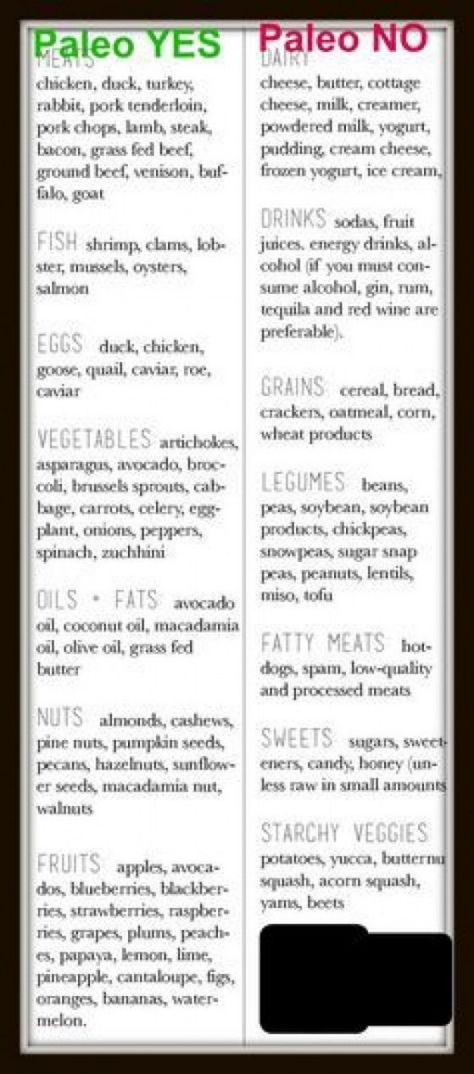 Paleo diet recipes Paleo diet plan Paleo for Beginners John Chatham #paleodinner #paleodinner Paleo Diet For Beginners, Muffins Paleo, Paleo Plan, Lamb Steaks, Paleo For Beginners, Paleo Diet Plan, Paleo Life, Recipes Paleo, Paleo Lifestyle