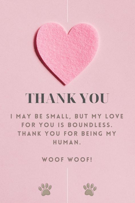 Dog quotes for dog lovers Thankful For My Dog Quotes, Pet Quotes Dog Love, A Dogs Love Quote, Dog Sayings Quotes My Heart, Dog Valentines Sayings, Dog Quotes, I Love Dogs, Paw Print, Dog Lovers