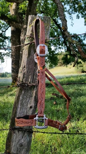 Leather Horse Tack, Horses Tack, Horse Halters, Equestrian Helmet, Western Horse Tack, Types Of Horses, Lead Rope, Western Tack, Horse Equipment