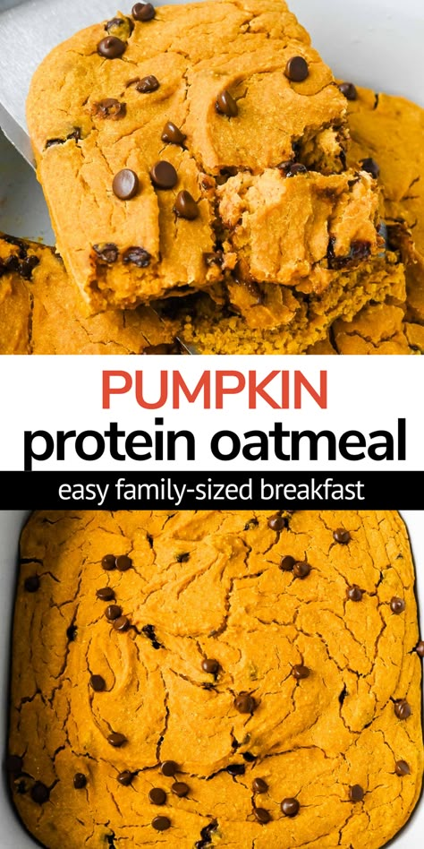 Celebrate the flavors of fall with this healthy pumpkin pie baked oats with protein! This delicious pumpkin oatmeal bake is a quick and easy fall breakfast to throw together on the weekend or to meal prep for weekday breakfasts. Naturally gluten-free, vegan, and made with no eggs and no dairy. Pumpkin Protein Baked Oatmeal, Protein Pumpkin Oatmeal Bake, Pumpkin Protein Oatmeal, Pumpkin Breakfast Recipes Vegan, Protein Pumpkin Baked Oats, Vitamix Breakfast Recipes, High Protein Pumpkin Baked Oatmeal, Healthy Pumpkin Oatmeal Bake, High Protein Baked Oatmeal Pumpkin