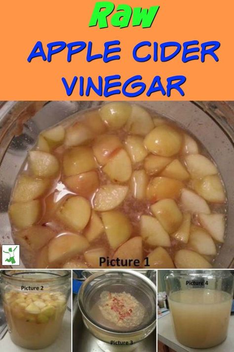 Unpasteurized or raw apple cider vinegar is expensive. So making your own can be a thrifty solution. Here are step-by-step instructions to make your own homemade apple cider vinegar. It is so much easier than you might think. #applecidervinegar #howto #homemade #recipes #homemade  #fermented #thehealthyhomeeconomist Diy Apple Cider Vinegar, Homemade Apple Cider Vinegar, Diy Apple Cider, Make Apple Cider Vinegar, Diy Apple, Hard Apple Cider, Raw Apple Cider Vinegar, Homemade Apple Cider, Cold Sores Remedies