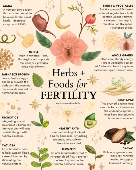 Signs Of Ovulation, Herbs For Fertility, Foods For Fertility, Womb Healing, Magia Das Ervas, Medical Herbs, Fertility Health, Improve Fertility, Magic Herbs