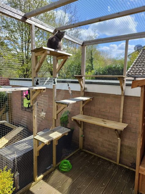 Catio Cat Apartment, Cat Condo Outdoor, Cat Balcony Ideas, Diy Cat Patio, Cat Backyard, Cat Porch, Cat Balcony, Outdoor Cat Tree, Custom Cat Trees