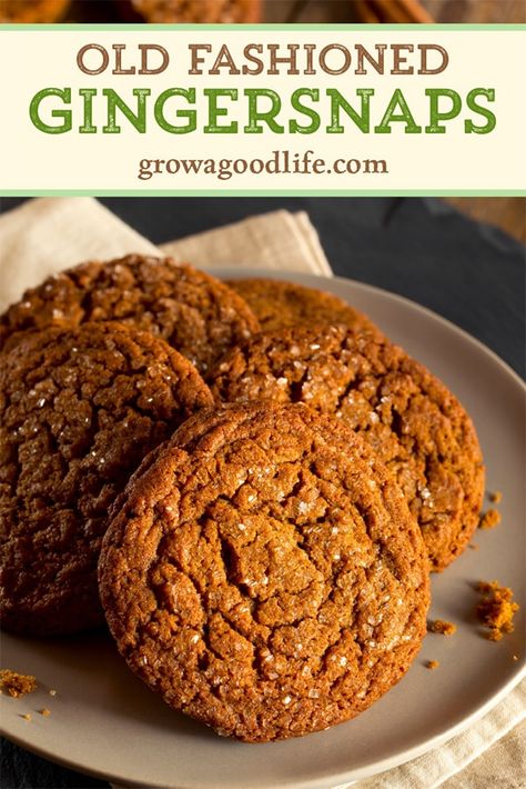 Ginger Snap Molasses Cookies, Best Gingersnap Cookie Recipe, Homemade Ginger Snap Cookies, Crumbl Cookie Copycat Gingersnap, Ginger Snap Cookies Without Molasses, Ginger Snaps Cookies Recipe, Fresh Ginger Cookies Recipe, Best Ginger Cookies Recipe, Old Fashioned Ginger Snaps