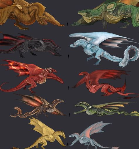 Asoiaf Dragons Size, Sunfire Dragon, Dragon Breeds, House Of The Dragon Dragons, Targaryen Dragons, Hotd Dragons, Game Of Thrones Artwork, Dragon Names, Game Of Thrones Dragons