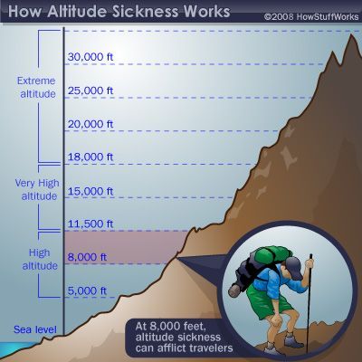 HowStuffWorks "Physiological Effects of High Altitude" Kilimanjaro Climb, Bushcraft Skills, Hiking Training, Altitude Sickness, Hiking Tips, High Altitude, Camping And Hiking, Hiking Trip, Survival Skills