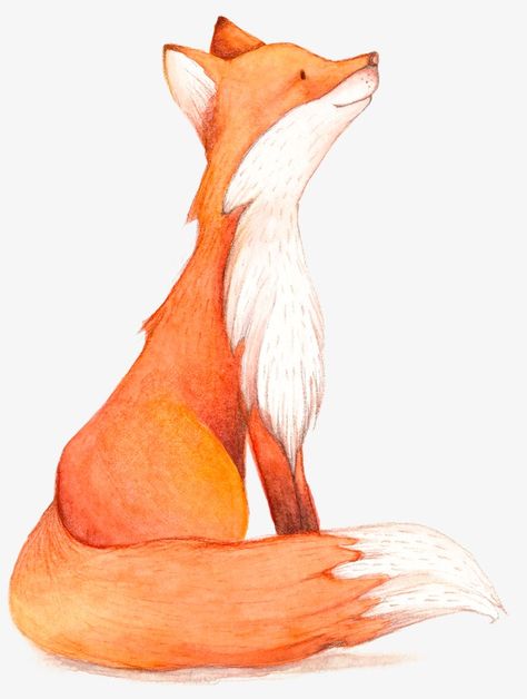 Fox Head Drawing, Fox Drawing Cute, Red Fox Drawing, Fox Drawing Tutorial, Fox Drawing Sketches, Fox Drawing Easy, Fox Drawings, Cute Fox Drawing, Art Fox