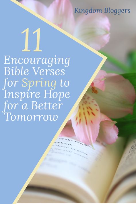 Spring is a time of blooming flowers and bright colors. But Spring also has Biblical meaning! Here are 11 Bible verses about Spring. #bibleverse #biblestudy #kingdombloggers Spring Scripture, Hello Spring Quotes, Spring Bible Verses, Refresh Your Mind, Spring Quotes, Bible Verse Cards, Encouraging Bible Verses, Verses For Cards, Womens Ministry