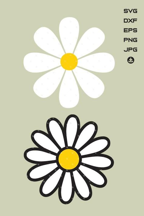 Daisy flower drawing