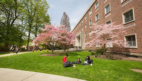 10 of the Easiest Classes at East Stroudsburg University - Humans of University East Stroudsburg University, Hospitality And Tourism Management, Art 101, Tourism Management, College Tips, Tourism Industry, College Hacks, Career Path, Colleges And Universities