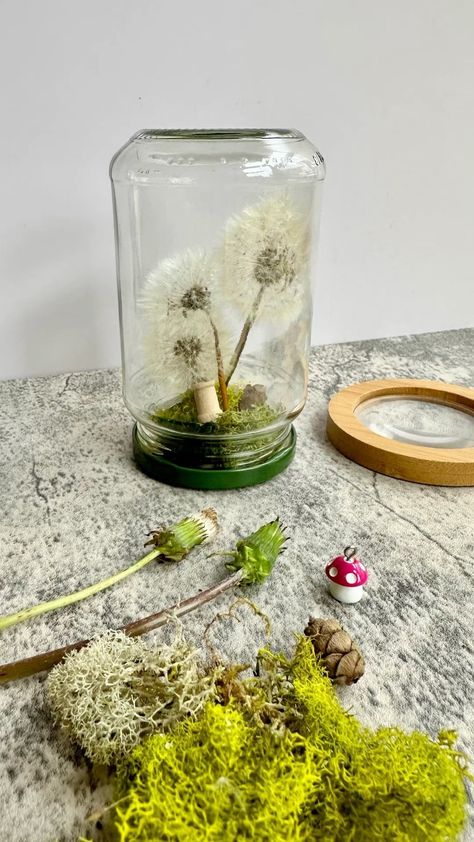 Alyssa Stokes | Dandelion Wishing Jar 🫙 I have been wanting to try this project since I saw it being shared a few places last year! We collected closed... | Instagram Dandelion Wish Jar, Wish Jar, The Dandelion, Dandelion Wish, Dandelion Seed, The Jar, Seed Pods, Christmas 2020, Toothpick