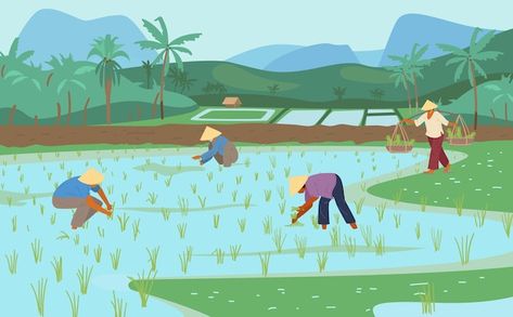 Agriculture Pictures, Mountains And River, Farm Cartoon, Farmers Day, Paddy Field, Asian Rice, Labels Design, Pixel Characters, Rice Fields