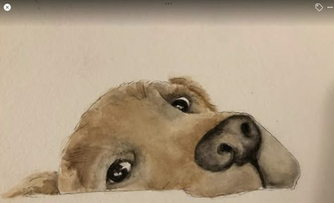 강아지 그림, Diy Watercolor Painting, Watercolor Dog, Dessin Adorable, Dog Illustration, Animal Sketches, Dog Drawing, Dog Paintings, Watercolor Animals