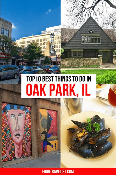 best things to do in oak park illinois by food travelist Oak Park Chicago, Oak Park Illinois, Old Fashioned Ice Cream, Destination Ideas, St Petersburg Fl, St Petersburg Florida, Oak Park, Downtown Chicago, Park Hotel