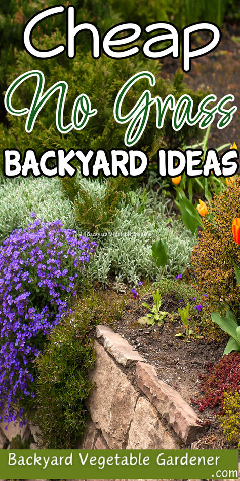 Transform your outdoor space on a budget. Low-maintenance landscaping options that are both beautiful and practical. #BudgetBackyard #NoGrassGarden

https://dianfarmer.com/cheap-no-grass-backyard-ideas-or-front-yard/
#containergardening #gardeningismytherapy #gardensofinstagram #gardentips #kitchengarden #nature #garden #plants #allotment No Grass Side Yard, No Grass Yard Ideas, Instead Of Grass Ideas, Grass Yard Ideas, No Maintenance Backyard, Low Maintenance Landscape Ideas Backyard, Natural Backyard Landscaping, No Maintenance Landscaping, Natural Landscaping Ideas