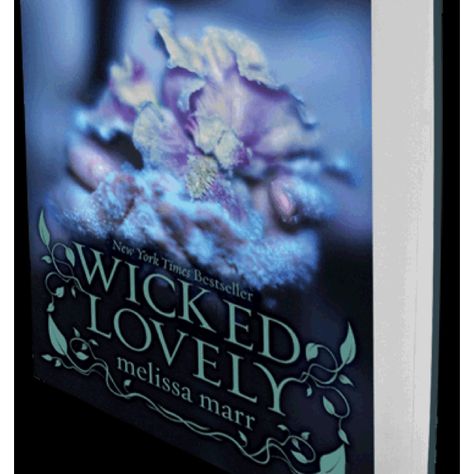 Wicked Lovely, Cosy Cafe, Urban Fantasy Books, Big Magic, Community Space, Book Shop, Reading Romance, Shop Front, The Twilight Saga