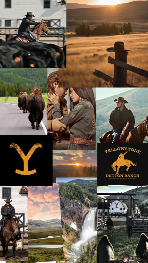 Kelly Reilly, Kevin Costner, Yellow Stone, Silhouette Crafts, Life Goals, Montana, Stone, Yellow