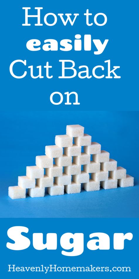 Know you need to cut back on sugar? Don't we all! It's hard, but we've shared some very easy ideas for ways you can cut back without any difficulty at all! Low Sugar Treats, Homemaking Skills, Easy Mashed Potatoes, Southern Sweet Tea, Healthy Children, How Much Sugar, Quit Sugar, Making Mashed Potatoes, Low Sugar Recipes