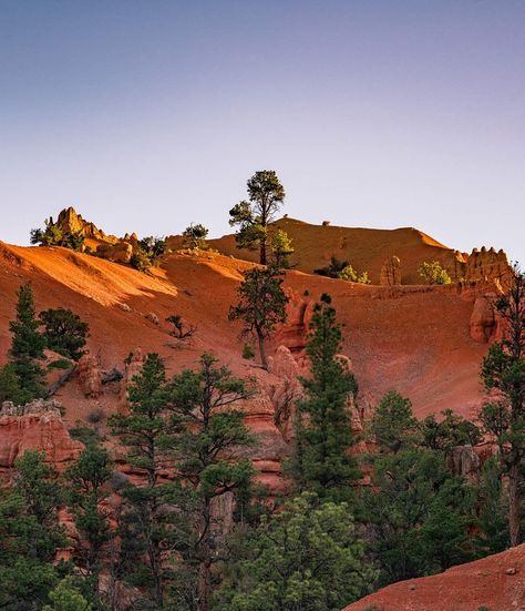 Dixie National Forest, Utah [Maps & Info] | Visit Utah Forest Hike, Utah Map, Utah Camping, Visit Utah, Utah Mountains, River Trip, Scenic Byway, Bryce Canyon, Adventure Bike