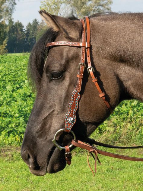 Western Horse Bridle, Horse Land, Bridle Horse, Western Bridles, Barrel Racing Tack, Horse Coats, Western Tack, Horse Bridle, Breyer Horses