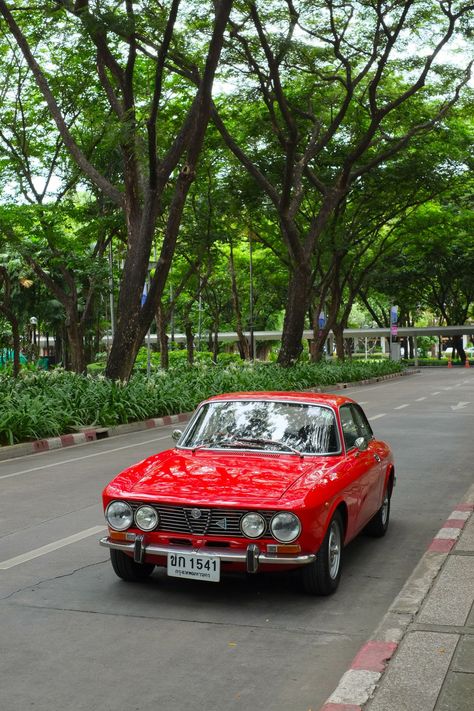 Old Alfa Romeo Cars, Alfa Romeo 2000 Gtv, Vintage Alfa Romeo, Classic Alfa Romeo, Old Alfa Romeo, Alfa Cars, Alfa Gtv, Alfa Romeo Gta, Old Sports Cars