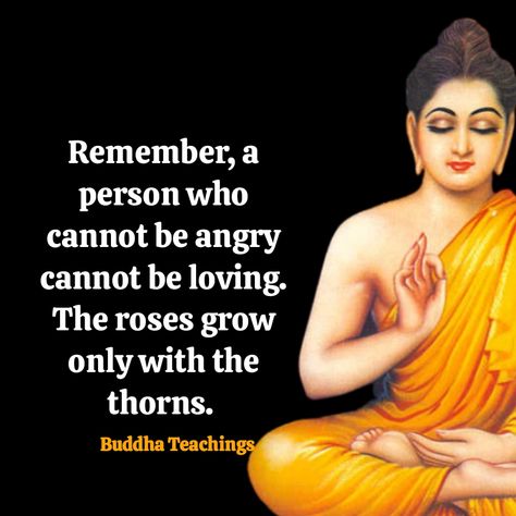 #quote #quotes #buddha #buddhism Quotes Buddha, Buddha Quotes Inspirational, Buddhism Quote, Buddha Teachings, Buddha Quote, Spiritual Messages, Buddha Quotes, Buddhism, Life Lessons