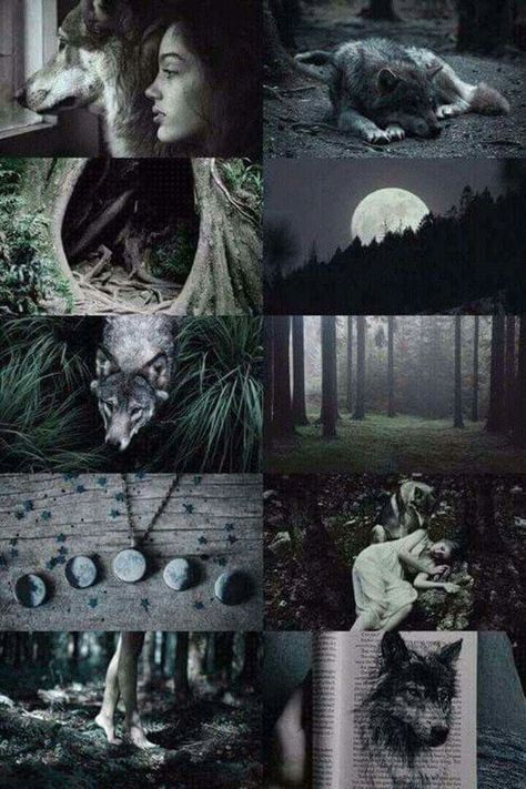 Shifter-flavored fun. Wolf Aesthetic, Werewolf Aesthetic, Wolf Necklace, Wolf Jewelry, Slytherin Aesthetic, Magic Aesthetic, Wolf Girl, Witch Aesthetic, Fantasy Aesthetic