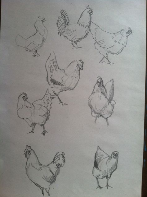 Chicken Sketches, Chicken Paintings, What Is Art Therapy, What Is Art, Chicken Drawing, Chicken Painting, Chicken Art, The Creative Process, Animal Sketches