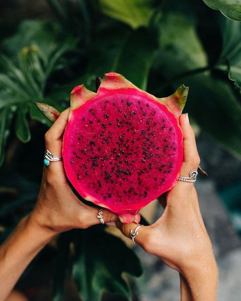 Dragon fruit | Bali, Indonesia Buah Naga, Fruit Du Dragon, Thanh Long, Tropical Food, Dessert Aux Fruits, Fruit Photography, Exotic Fruit, Tropical Fruits, Tropical Fruit