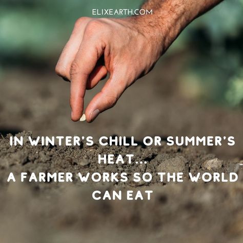 Farmer Quote, Farmer Quotes, Farm Quotes, Survival Quotes, Blur Photo Background, Appreciation Quotes, Proverbs Quotes, Blur Photo, Homeschool Planning