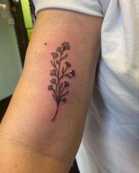 Lakespur Flower Tattoo, Larkspur Flower Tattoo, Larkspur Flower Tattoos, Larkspur Tattoo, Larkspur Flower, Bottle Tattoo, Friendship Tattoos, Classy Lady, Pretty Tattoos