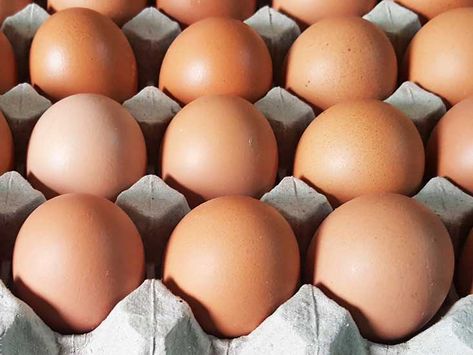 5 Simple Ways to Tell If an Egg Is Good or Bad Sink Or Float, Food Prep Storage, Bad Eggs, Eggs For Sale, Tea Health Benefits, Clean Plates, Storage Tips, Fried Eggs, Food Articles