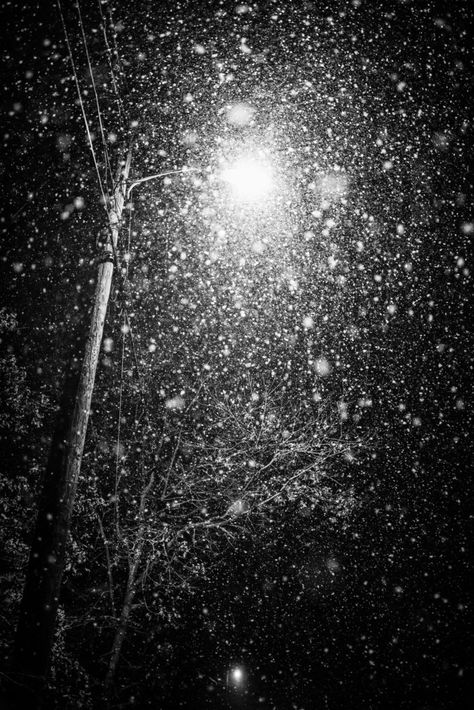 Black And White Esthetics Photos, Snow Under Street Light, Heavy Snow Aesthetic, Winter Black Aesthetic, White Night Aesthetic, Black Winter Aesthetic, Low Key Christmas, Snowy Paintings, Snow Black And White