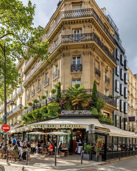 Hives of gossip, the latest styles and, of course, great coffee, Parisian cafes are the real cultural powerhouses of the city. Tap the link in bio for the loveliest spots to bookmark for your next trip. Parisian Cafe, Good Coffee, City Of Love, Cafe Shop, Great Coffee, Travel Inspo, Best Coffee, Versailles, Bourbon