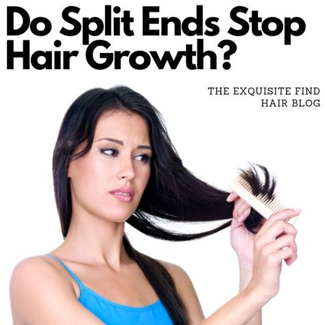 Do Split Ends Stop Hair Growth? How can I self-diagnose split ends? How do I treat them? Hydration, regular haircuts, using less heat to start... https://theexquisitefind.com/what-are-split-ends-can-i-get-rid-of-them-tips-from-a-professional/ Stop Hair Breakage, Hair Education, Hair Blog, Hair Breakage, Natural Hair Growth, Treated Hair, Split Ends, Hair Growth, How Can