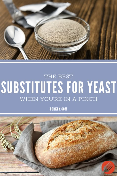 Bread Recipe No Yeast Easy, Things To Make With Flour No Yeast, Yeast Replacement For Bread, How To Make Homemade Bread Without Yeast, Bread Without Yeast Recipe Simple, Homemade Bread Recipes Without Yeast, No Yeast Homemade Bread, No Yeast French Bread, Bread Recipes Homemade No Yeast