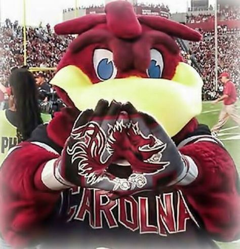 The Cocky Face Gamecock Football, South Carolina Gamecocks Football, Gamecock Nation, South Carolina Football, Gamecocks Football, Go Gamecocks, Usc Gamecocks, Usc Football, Carolina Football